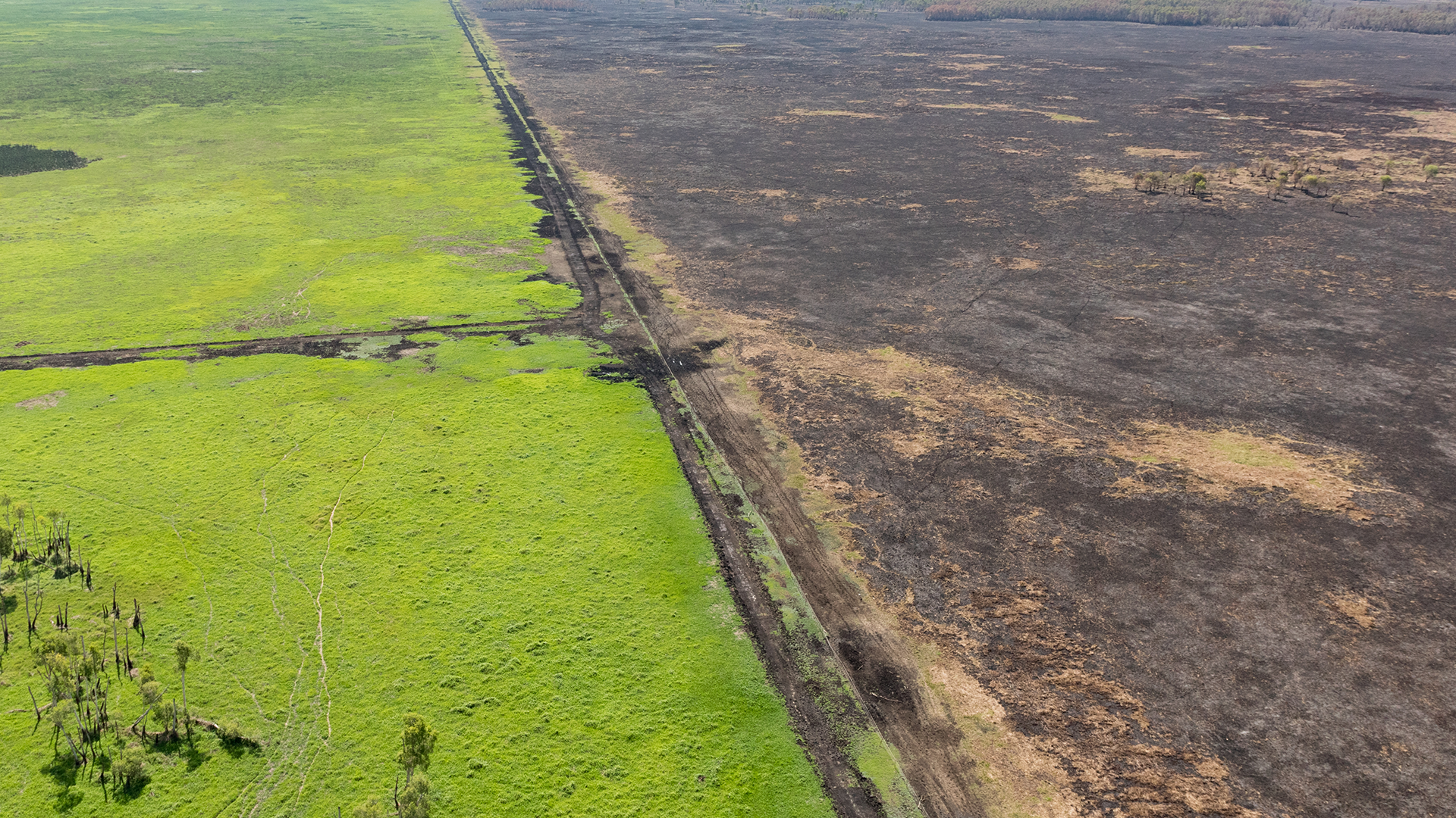 Dry vs Wet Season Feeding Strategy