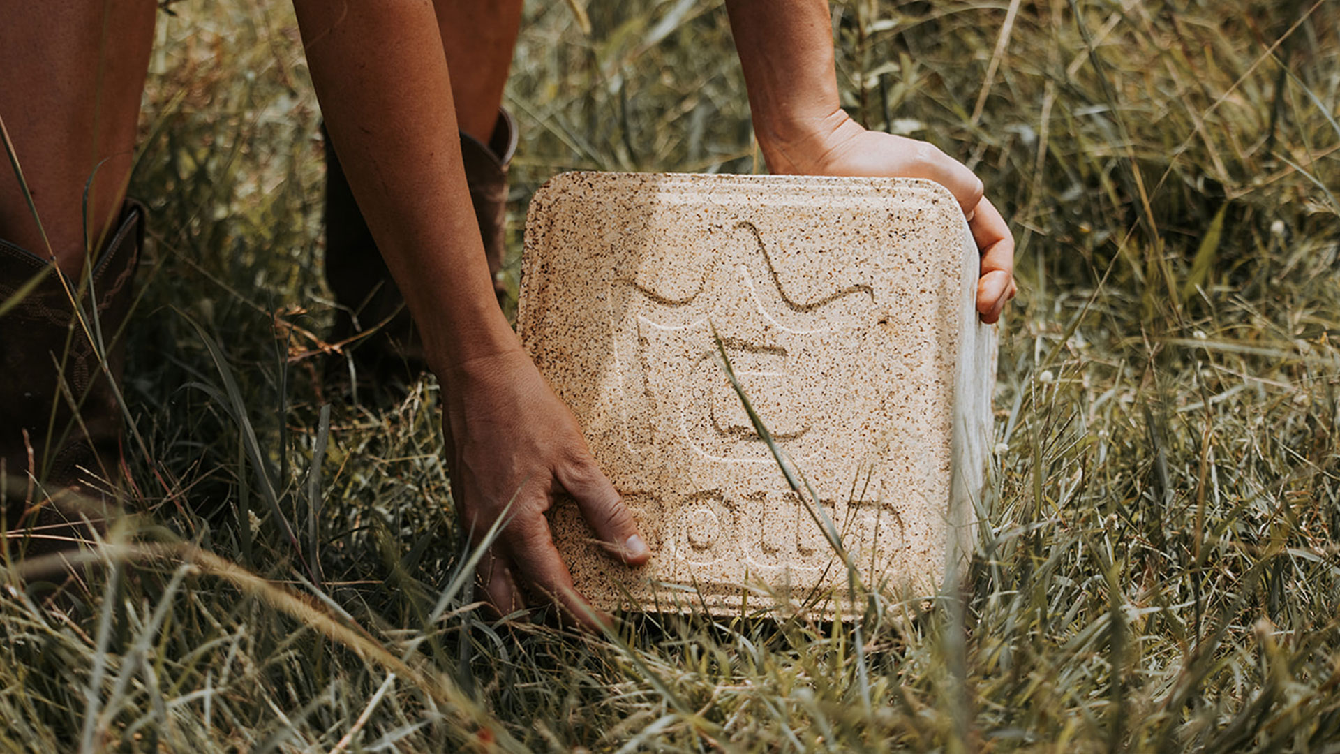 The Benefits of Feeding Phosphorus to Cattle in Australia
