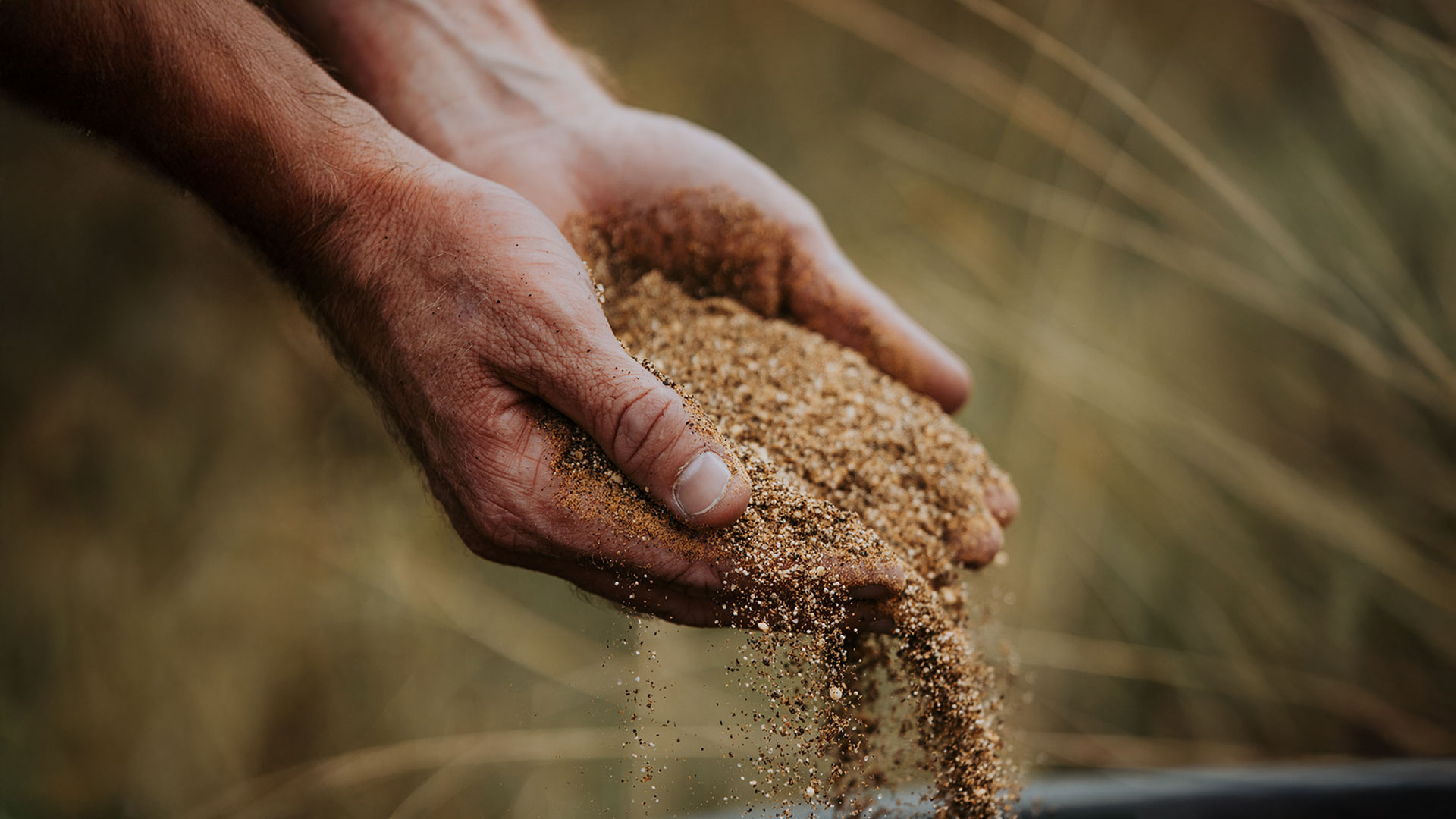 The Benefits of Macro and Micro Trace Elements